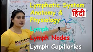 Lymphatic System in Hindi  Lymph  Lymph Nodes  Lymph Vessels  Anatomy amp Physiology [upl. by Amrak]