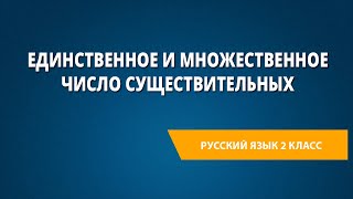 Единственное и множественное число существительных [upl. by Alusru]