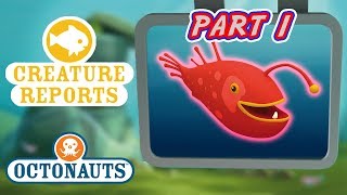 Octonauts  Creature Reports Part 1  Cartoons for Kids  Underwater Sea Education [upl. by Irfan]