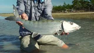 Bahamas Bonefishing  Ep 1 World Wide Fly Fishing [upl. by Mattheus]