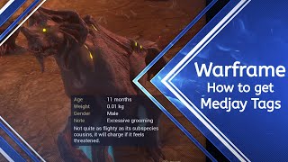 Warframe How to get Medjay Tags [upl. by Leandra]