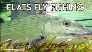 Epic Bonefish Permit Tarpon Fly Fishing  Belize [upl. by Eelano]