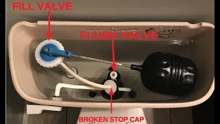 Replacing Fill Valve amp Flush Valve for Mansfield Toilet [upl. by Eikcid506]