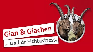 Gian und Giachen Baumgrenzen sind unerbärmlich [upl. by Elaweda]