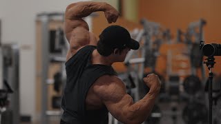 IFBB Pro Arm Workout [upl. by Carrelli]