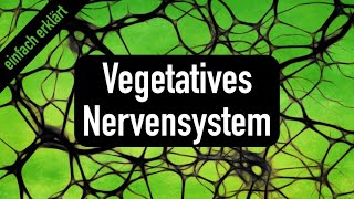 Vorlesung 5 Vegetatives Nervensystem [upl. by Eednar842]