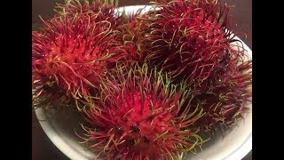 How to eat and cut open Rambutan fruit [upl. by Ilecara]