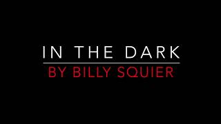 BILLY SQUIER  IN THE DARK 1981 LYRICS [upl. by Franciskus]