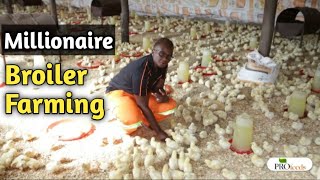 Broiler Chicken Farming Made Easy Cheap and Profitable [upl. by Brnaba]