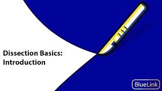 Dissection Basics  Introduction [upl. by Owen373]