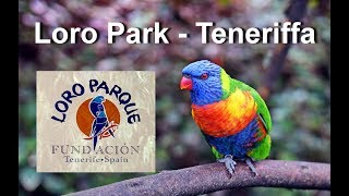 Loro Park  Teneriffa [upl. by Holna]