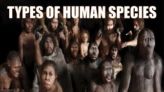 14 Different Types of Human Species  Explained [upl. by Adiehsar]