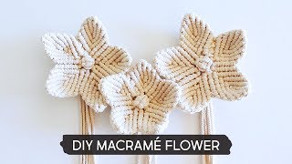 DIY Macramé Flower [upl. by Atihana]