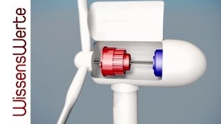 Renewable Energy and the Energy Transition [upl. by Rodoeht249]