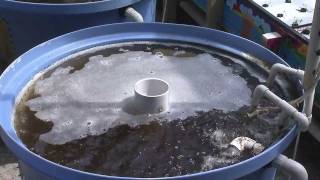 Purdue Aquaponics Cut Water Usage [upl. by Apfel308]