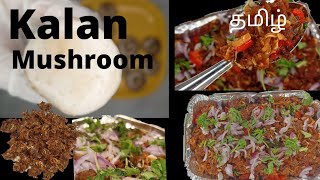 Mushroom 🍄 recipe  Kalan  தமிழ் [upl. by Honebein461]