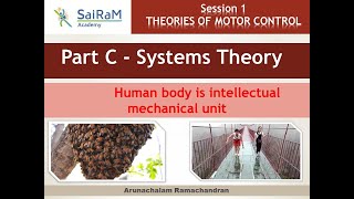 Session 1 Theories Of Motor Control  Part C  Systems Theory [upl. by Negeam]