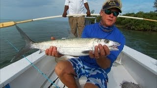 Bimini Bonefish Fishing the Flats in the Bahamas [upl. by Olodort928]