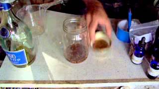 Making rhodiola rosea Golden Root tincture [upl. by Natiha]