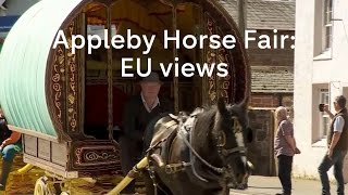 Appleby Horse Fair EU views in the Gypsy community [upl. by Dorwin]