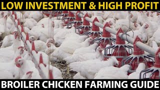 BROILER CHICKEN FARMING  Complete Information on Broiler Chicken Farming in India  Beginners Guide [upl. by Hsirehc]