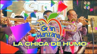 Marimba Orquesta La Gran Manzana 2021  Mix Cumbia de Siempre [upl. by Aggri130]