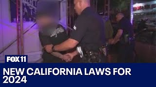 New California laws 2024 [upl. by Luhem]