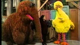 Sesame Street  Big Bird Wants a New Name Part 1 [upl. by Atinreb]