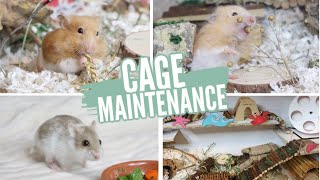 Hamster Cage Maintenance [upl. by Edijabab573]