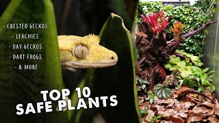 SAFE PLANT LIST  Crested Geckos Day Geckos Dart Frogs amp More [upl. by Flip]