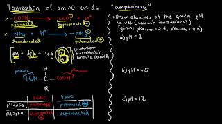 BIOCHEM 13  Amino Acid Ionization 1 [upl. by Nonnahc]