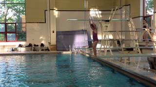 Teach a Flip for Springboard Diving [upl. by Peednus105]