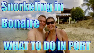 Snorkeling in Bonaire  What to Do on Your Day in Port [upl. by Jonas]