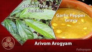 Benefits of Azhinjil Tree Ankolam  Poondu Milagu Kuzhambu Recipe  Arivom Arogyam  06022018 [upl. by Akinit]