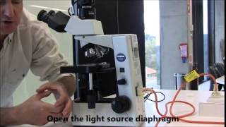 Introduction to the Compound Microscope [upl. by Llebana]