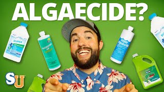 The TRUTH About Using ALGAECIDE In Your POOL [upl. by Shanon743]