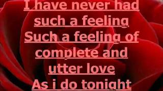 Chris de Burgh  Lady In Red Lyrics  YouTubeFLV [upl. by Aehtorod773]