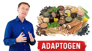 What are Adaptogens – Ashwagandha Explained by Dr Berg [upl. by Alderman]