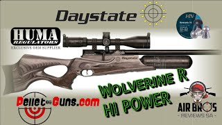 HampN 1813 1039Fps DAYSTATE WOLVERINE R HP REGULATED [upl. by Erbas]