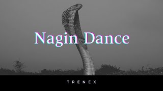 Naagin Song Remix DJ Charles  Aastha Gill Akasa  New Song Full Video [upl. by Anippesuig]