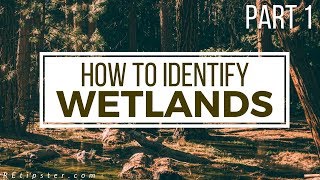 How to Identify and Avoid Wetlands  Part 1 [upl. by Rorrys523]