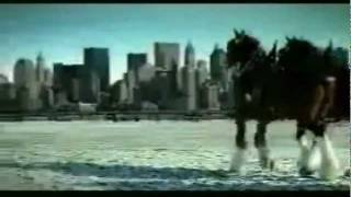 Budweiser 911 tribute commercial [upl. by Blakelee546]