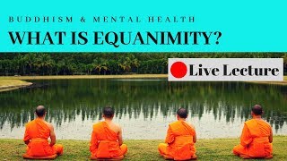 What is Equanimity and How Do You Cultivate It Buddhism amp Mental Health Live Lecture [upl. by Hiroshi615]