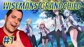 Wisemans Grandchild Episode 1 English Dubbed Reaction [upl. by Eesdnil]