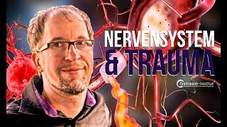 Vagusnerv  Nervensystem Polyvagaltheorie amp TraumaBewältigung [upl. by Albion420]