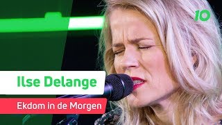 Ilse DeLange  Dreams Fleetwood Mac cover live  Ekdom in de Morgen [upl. by Terina]