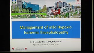 HypoxicIschemic Encephalopathy About Treatments amp Causes [upl. by Nodnal404]