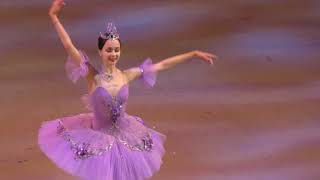 110818 Maria Iliushkina Lilac Fairy debut variation coda in Prologue [upl. by Rothschild]