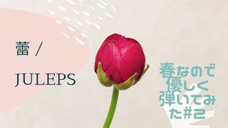 【優しい音色】蕾  JULEPS【ピアノ】 [upl. by Kassey]