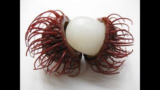 12 proven health benefits of rambutan [upl. by Ivon]